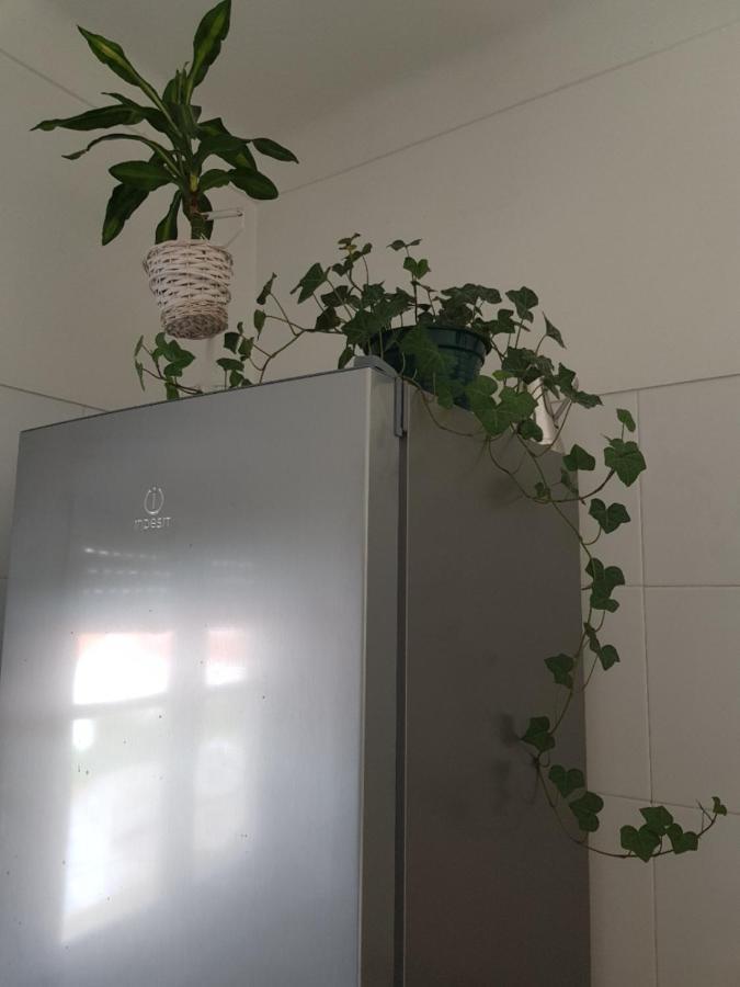 Green Element Guesthouse Costa da Caparica Exterior photo